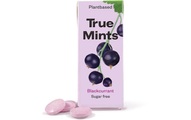 True Gum, True Gum Bonbons True Mints schwarze Johannisbeere 13 g