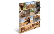 HERMA, HERMA Gummibandmappe A3 Afrika, Karton, mit Innendruck
