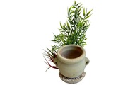 Sydeco Garden Plants Air Diffusor Sydeco (Fische , Aquariumsdeko , Künstliche Pflanzen) 250 GR