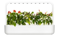 Click and Grow Click and Grow Kr?utertopf Smart