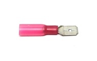 E+P EP Flachstecker WP 6.3 x 0.8 mm, homme