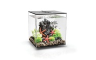 Oase Wasserfall Tiki, S Aquaristikzubehör