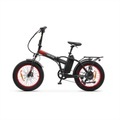 Argento E-Bike MiniMax GT
