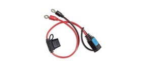 Victron Energy BPC900110014 M8 Kabelschuh-Steckverbinder (mit 30A ATO-Sicherung) Kabelverbinder