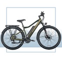 Aversus E-Bike City Runner (2023) 27.5 Zoll, Grün