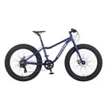 V - Velos, MTB Fatbike 26