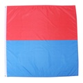 Kantonsflagge Tessin 120 cm x 120 cm