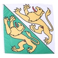 Kantonsflagge Thurgau 120 cm x 120 cm