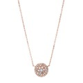 Fossil Collier