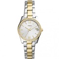 Fossil ES4319 Scarlette Mini