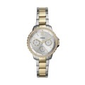 Fossil ES4784 Izzy