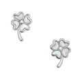 Fossil, Fossil JFS00541040 Ohrringe