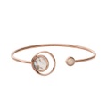 Skagen SKJ1498791 Armband