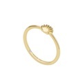 Fossil JF04064710 Ring