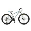 Mountainbike 26