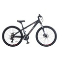 Mountainbike 26