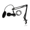 Podcast Set Studiomikrofon mit Halterung