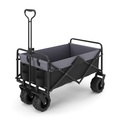 undefined, Bollerwagen faltbar BENNY schwarz
