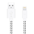 Trait-Tech, Ladekabel 2m iPhone / iPad