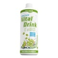 Best Body Nutrition Low Carb Vital Drink, Kiwi-Stachelbeere