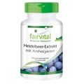 Heidelbeer-Extrakt mit Anthocyanen (90 Kapseln)