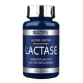 Scitec Nutrition, Lactase Kapseln (100 Kapseln)