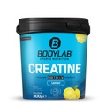 Creatine Drink Matrix - 300g - Lemon