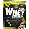 100% Whey Protein - 500g - Vanilla