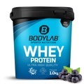 Whey Protein - 1000g - Blaubeere