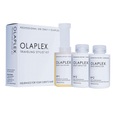 Olaplex Traveling Stylist Kit
