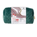BC Repair Rescue - Xmas Bag 2024