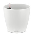 Lechuza - 4er-Set Blumenkästen mit Integriertem Bewässerungssystem Classico Color 28 - Sandbraun