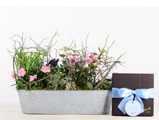 Geschenkset 