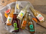 Bio Kombucha Set, 6er Pack à 33cl
