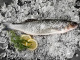 Nireus Aquaculture, Wolfsbarsch (Loup de Bar) für Salzkruste, NUR ausgenommen, ca. 900g