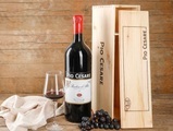 Barbera d'Alba Pio Cesare DOC, 300cl, 2018