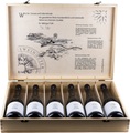 Weingut Türk Erste Lagen Kiste Kremstal 6er Set - 75cl - Niederösterreich, Österreich