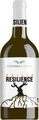 Colomba Bianca Resilience Grillo Sicilia DOC - 75cl - Sizilien, Italien