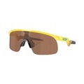 Oakley Resistor Sportbrille