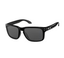 Oakley Sonnenbrillen Oakley OO9102 HOLBROOK Polarized 9102O2
