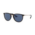 Ray-Ban Erika RB4171 - 639080 54-18
