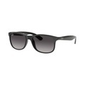Ray-Ban Andy RB 4202 601/8G