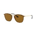 Ray-Ban RB 2448N 710