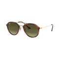 Ray-Ban RB 4253 820/A6 large