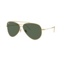 Ray-Ban Sonnenbrillen RBR0101S Aviator Reverse 001/VR