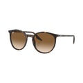 Ray-Ban RB2204 Brown on havana M