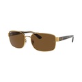 Ray-Ban Sonnenbrillen RB3687 Polarized 001/57