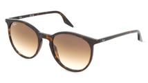 Rayban, Ray-Ban RB2204 Brown on havana M