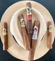 Dona Flor Sampler 5 im Freshpack