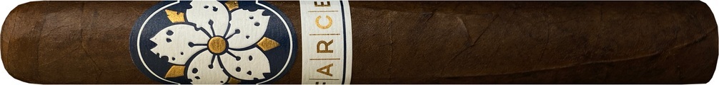 ROOM 101 Farce Maduro Magnum (Verpackungseinheit: 1er)